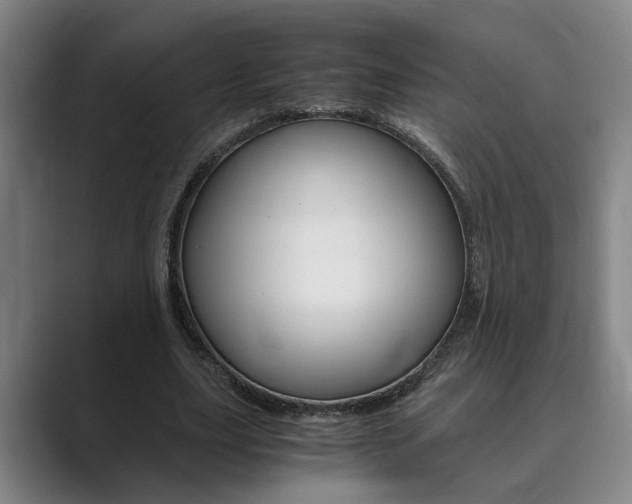 X0000089930631200706290756