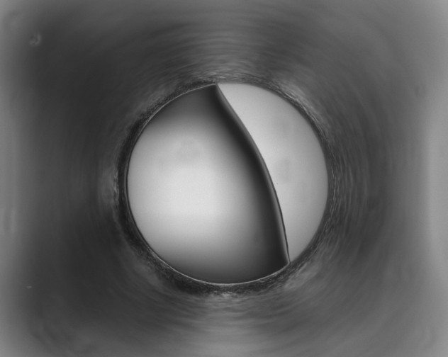 X0000089930634200706290756