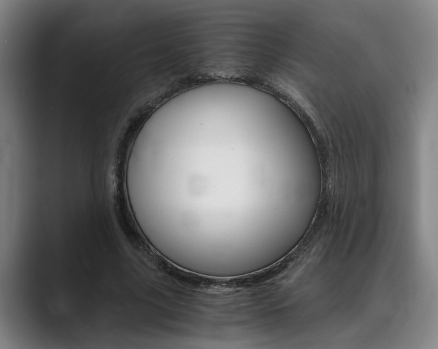 X0000089930635200706290756