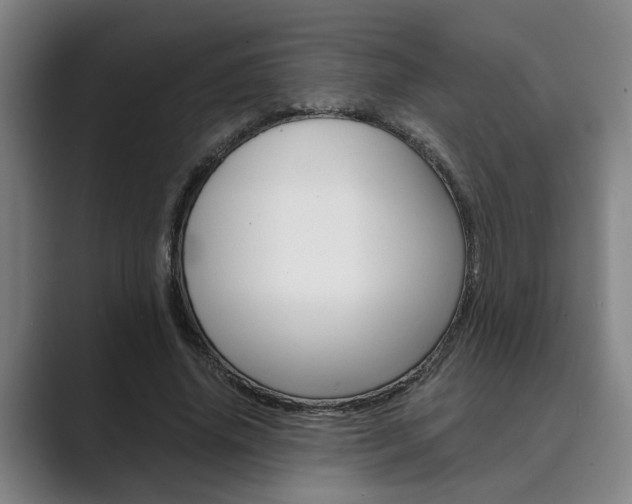 X0000089930636200706290756
