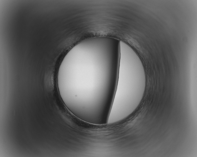 X0000089930638200706290756