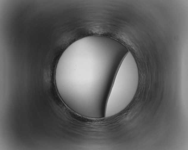 X0000089930639200706290756