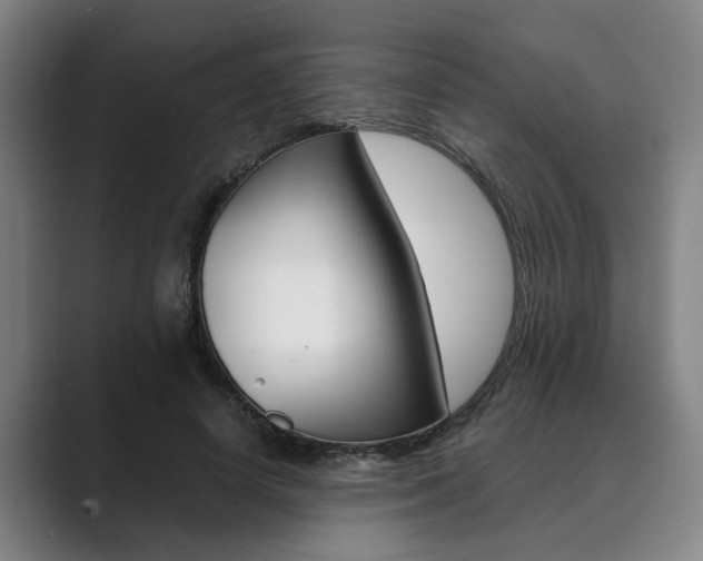 X0000089930642200706290756