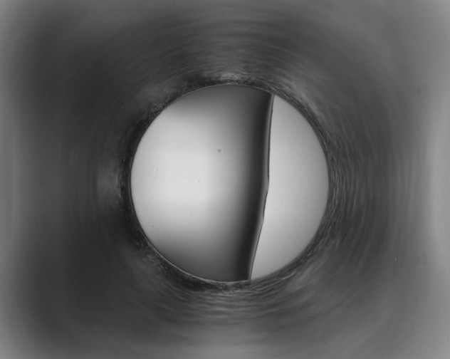 X0000089930643200706290756