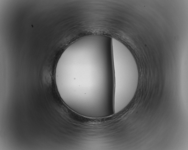 X0000089930644200706290756