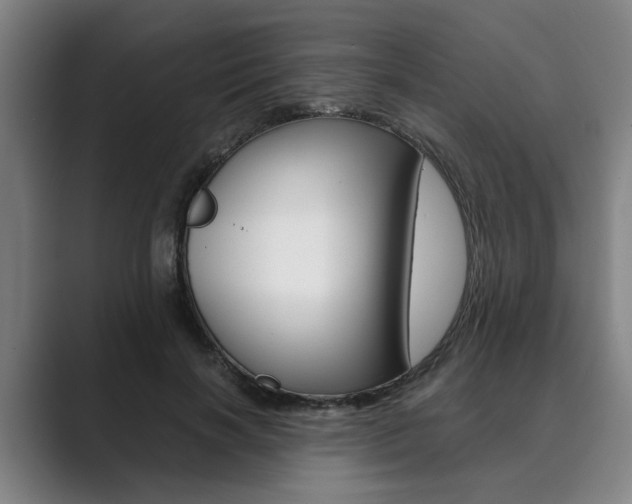 X0000089930646200706290756