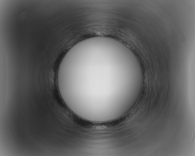 X0000089930650200706290756