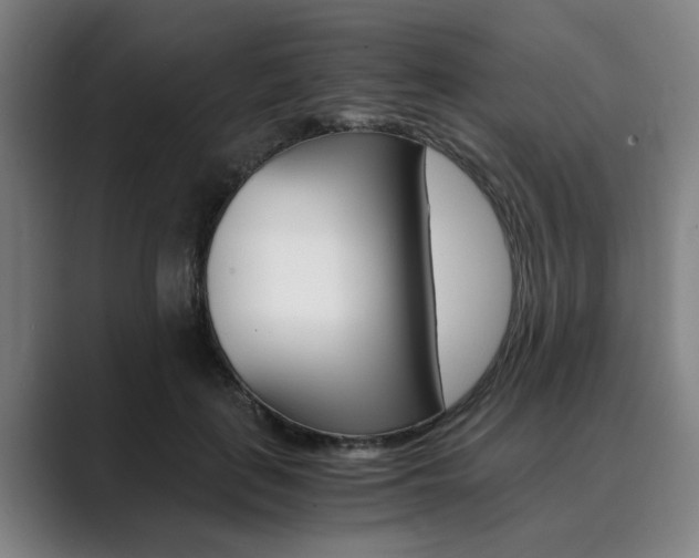 X0000089930651200706290756