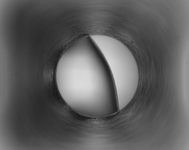 X0000089930652200706290756