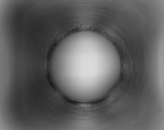 X0000089930654200706290756