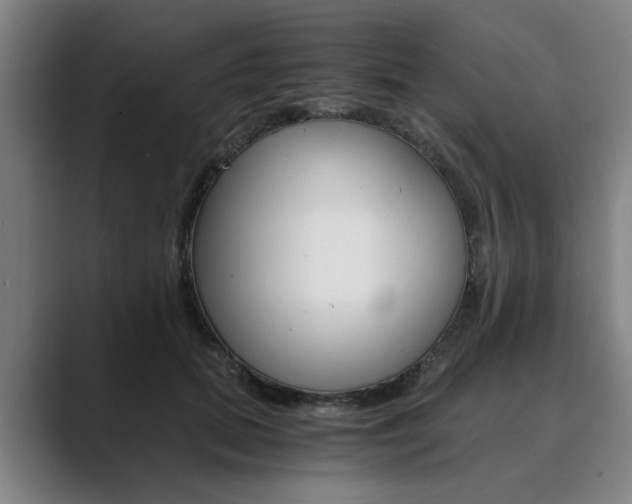 X0000089930655200706290756