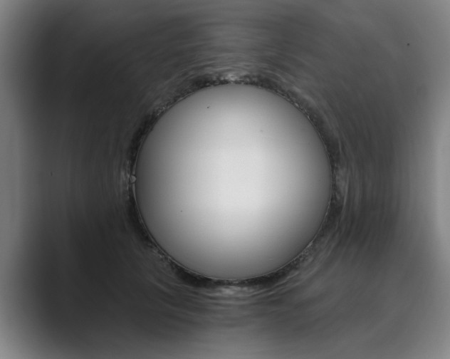 X0000089930657200706290756