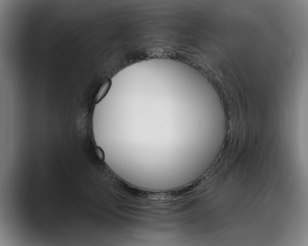 X0000089930659200706290756