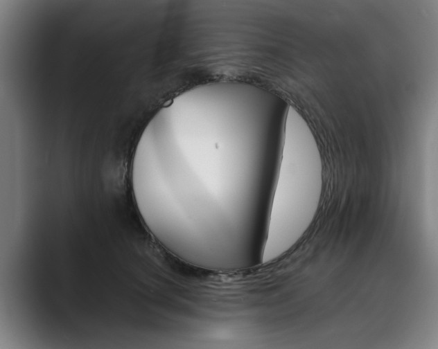 X0000089930660200706290756