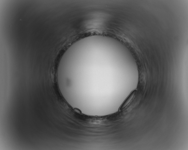 X0000089930661200706290756