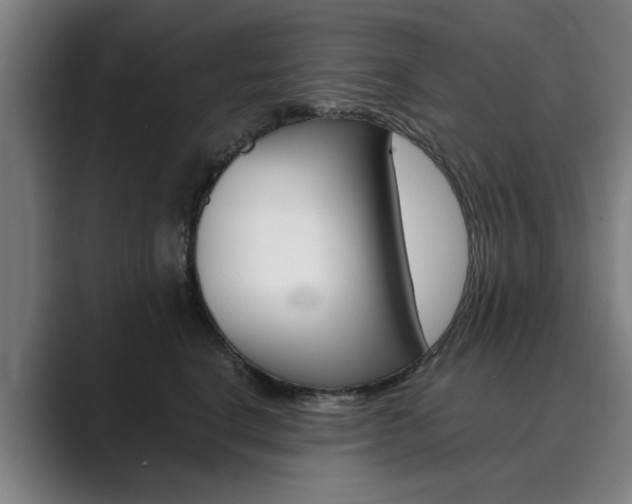 X0000089930664200706290756