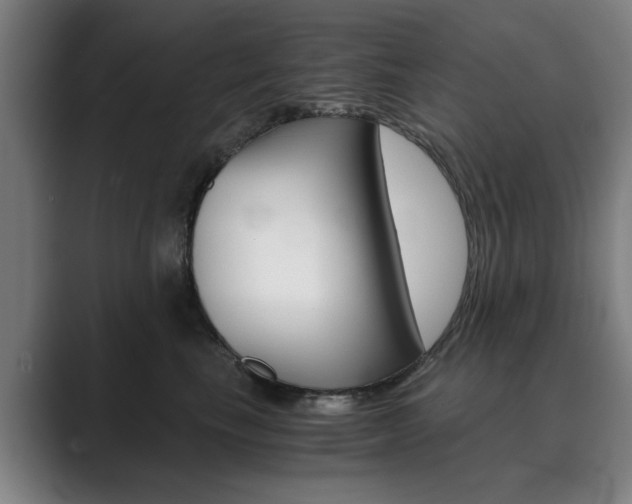 X0000089930665200706290756