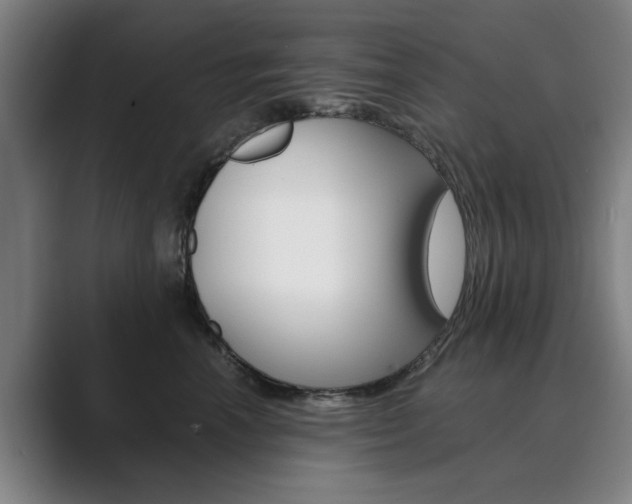X0000089930666200706290756