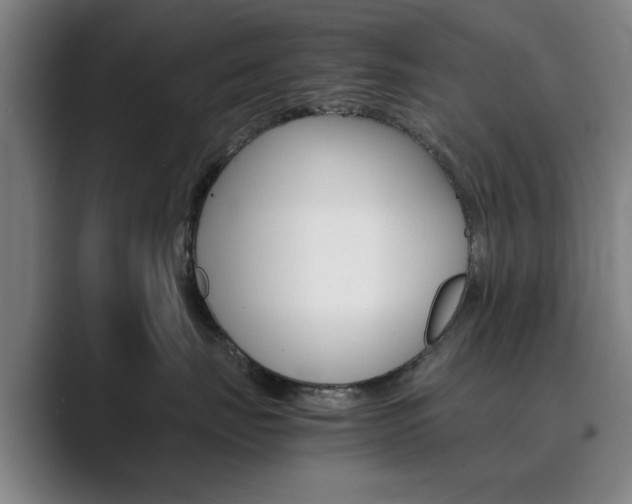 X0000089930671200706290756