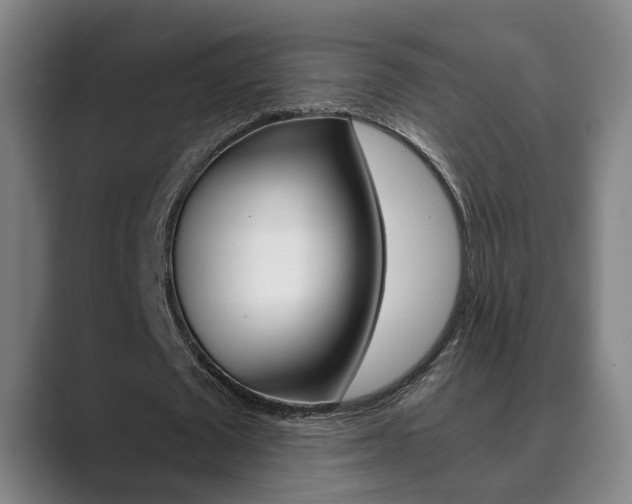 X0000089930673200706290756