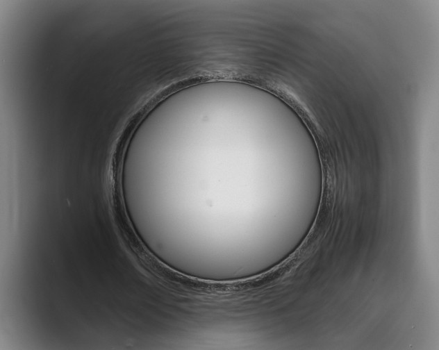 X0000089930674200706290756