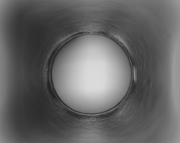 X0000089930675200706290756