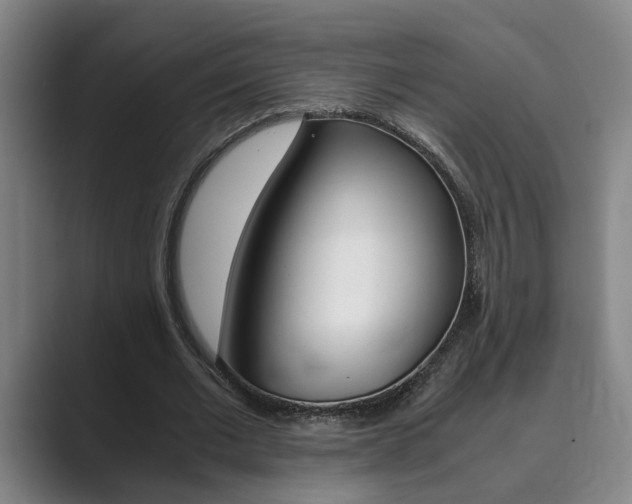 X0000089930677200706290756
