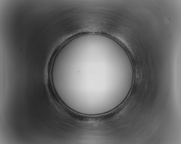 X0000089930678200706290756