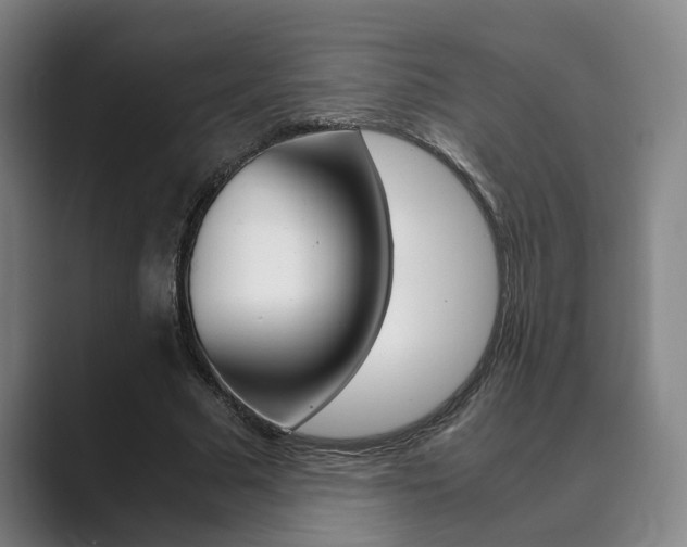 X0000089930681200706290756