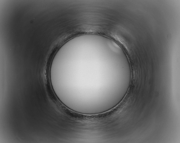 X0000089930682200706290756