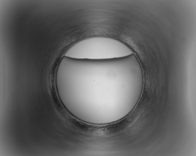 X0000089930683200706290756