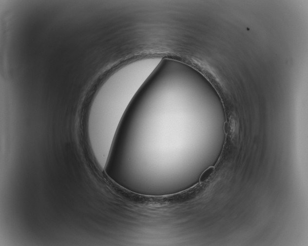 X0000089930684200706290756