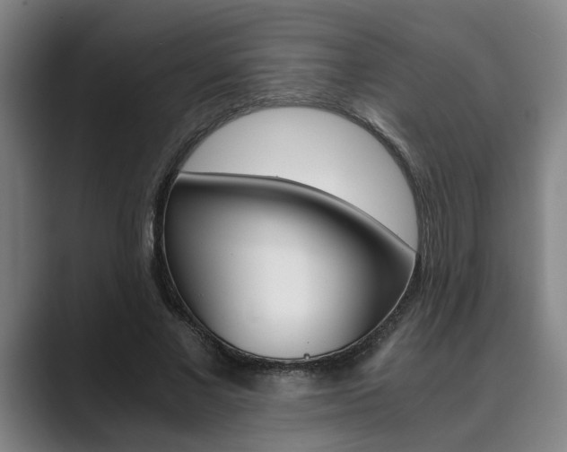 X0000089930685200706290756