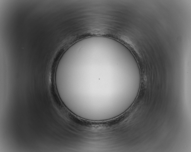 X0000089930686200706290756