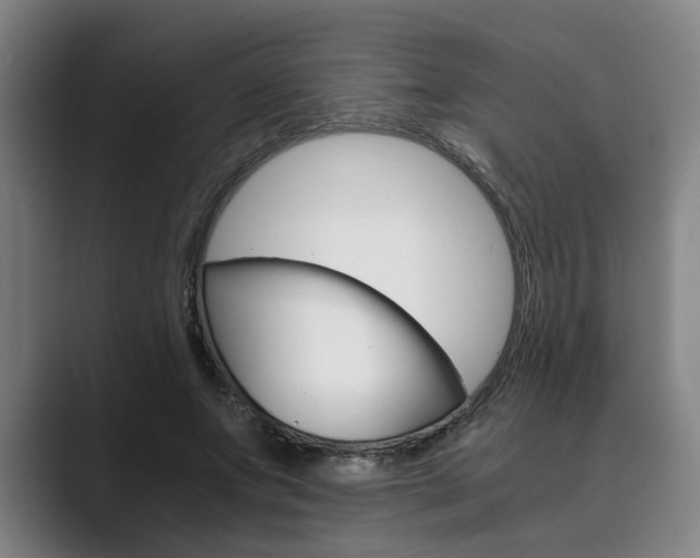 X0000089930687200706290756