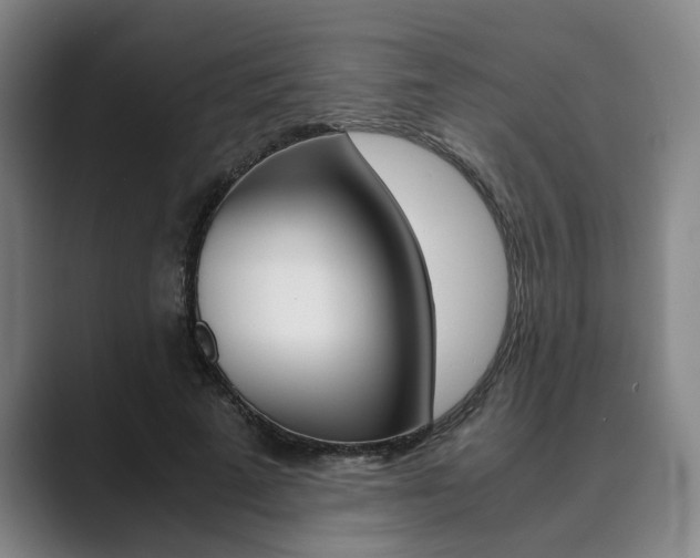 X0000089930689200706290756