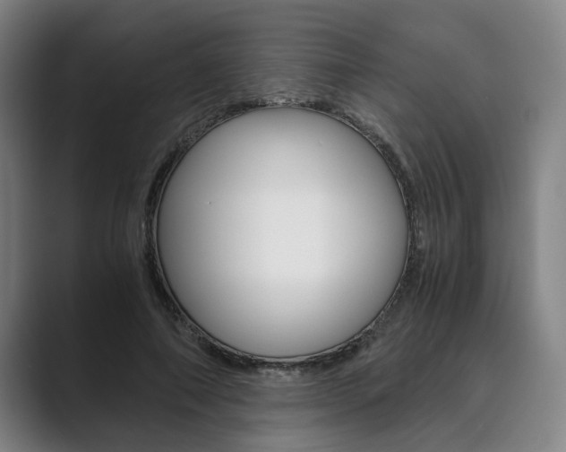X0000089930690200706290756