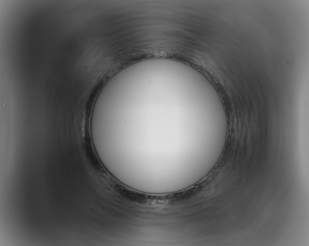 X0000089930694200706290756