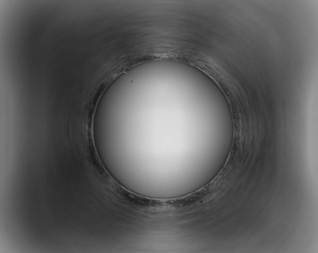 X0000089930696200706290756