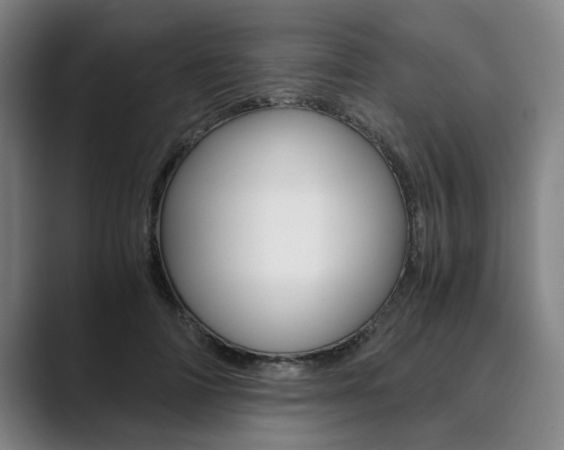 X0000089930698200706290756