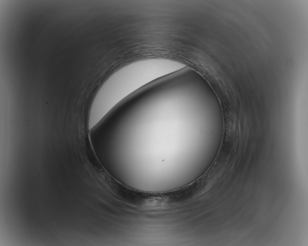 X0000089930700200706290756