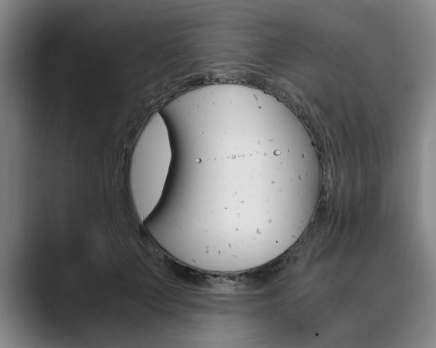 X0000089930703200706290755