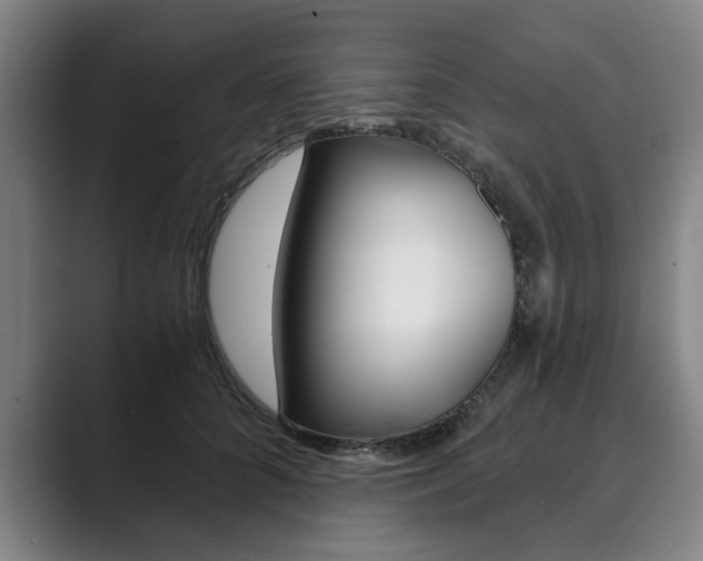 X0000089930704200706290755