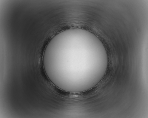X0000089930706200706290755