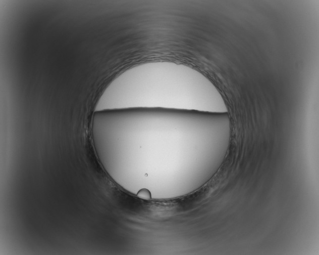 X0000089930707200706290755