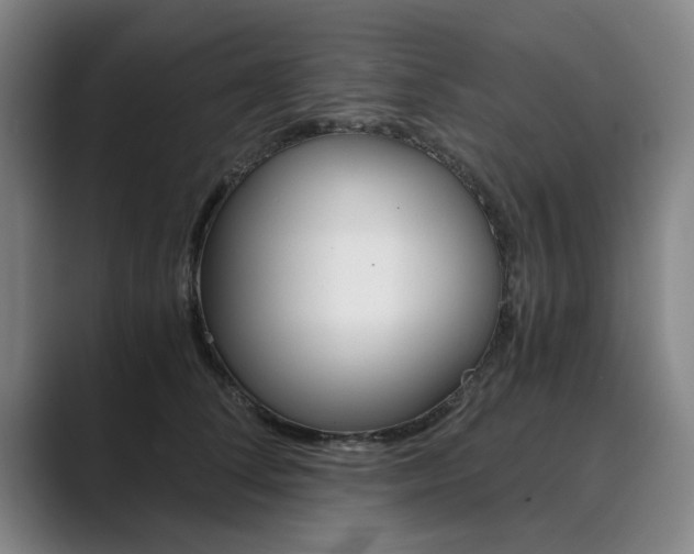 X0000089930708200706290755