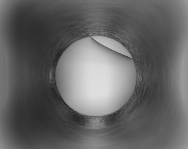 X0000089930709200706290755