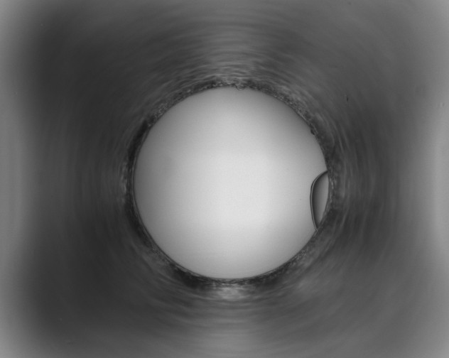 X0000089930710200706290755