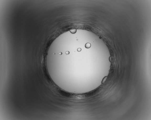 X0000089930711200706290755
