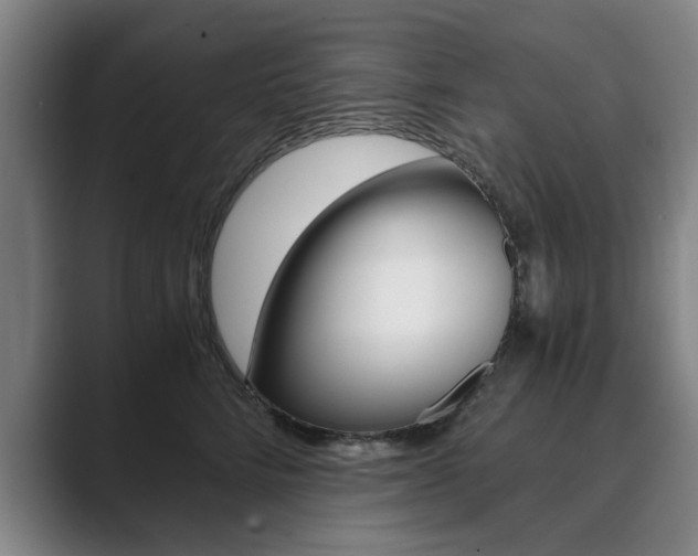 X0000089930712200706290755
